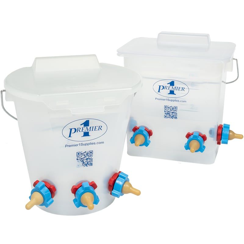 transparent lamb feeding bucket