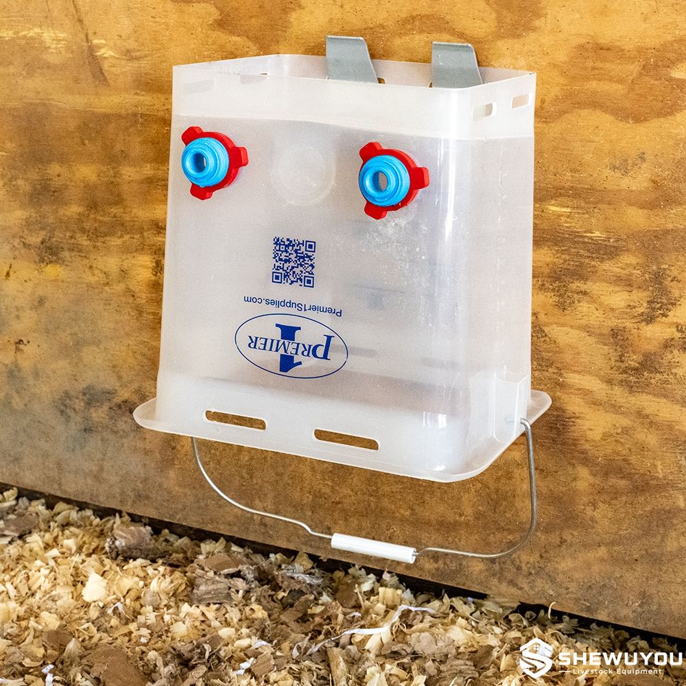 transparent lamb feeding bucket draining after cleaning