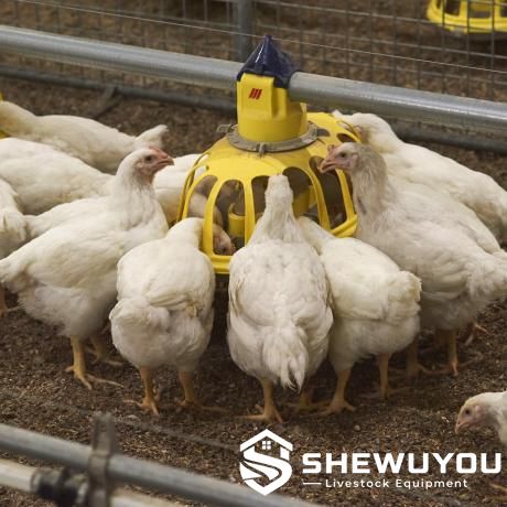Automatic Chick Feeder Pan for Poultry Rearing