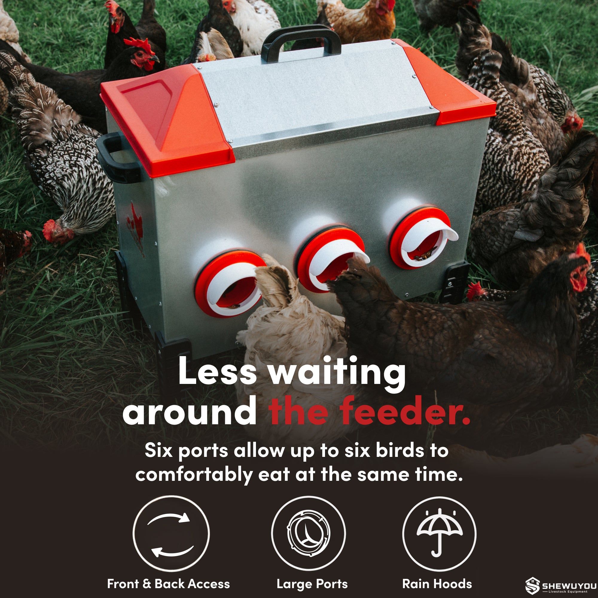 six port poultry feeder for adult chickens