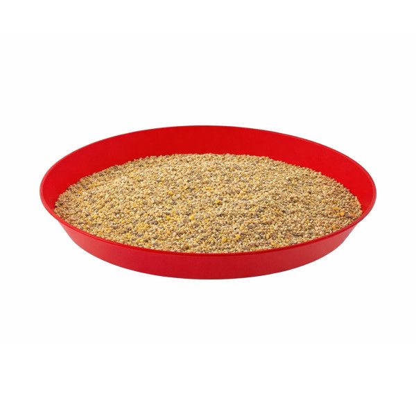 Round Plastic Chick Feeder Tray with Starter Feed