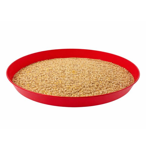 Large Round Plastic Chick Feeding Tray with Feed