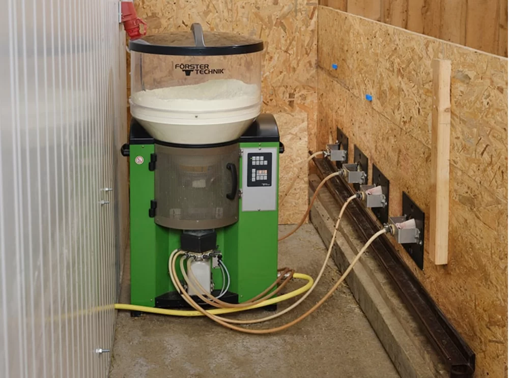 automatic lamb feeder connected to multiple teat stations