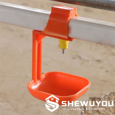 poultry nipple drinking pipe line with drip cup