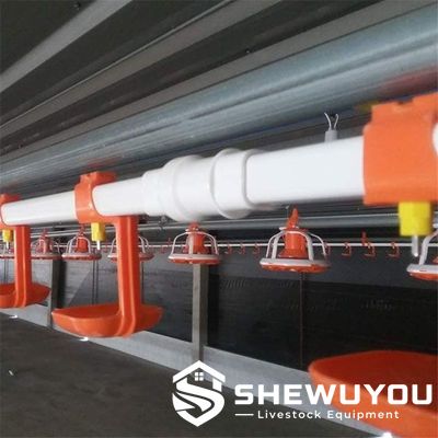poultry nipple drinking pipe line installed in chicken house