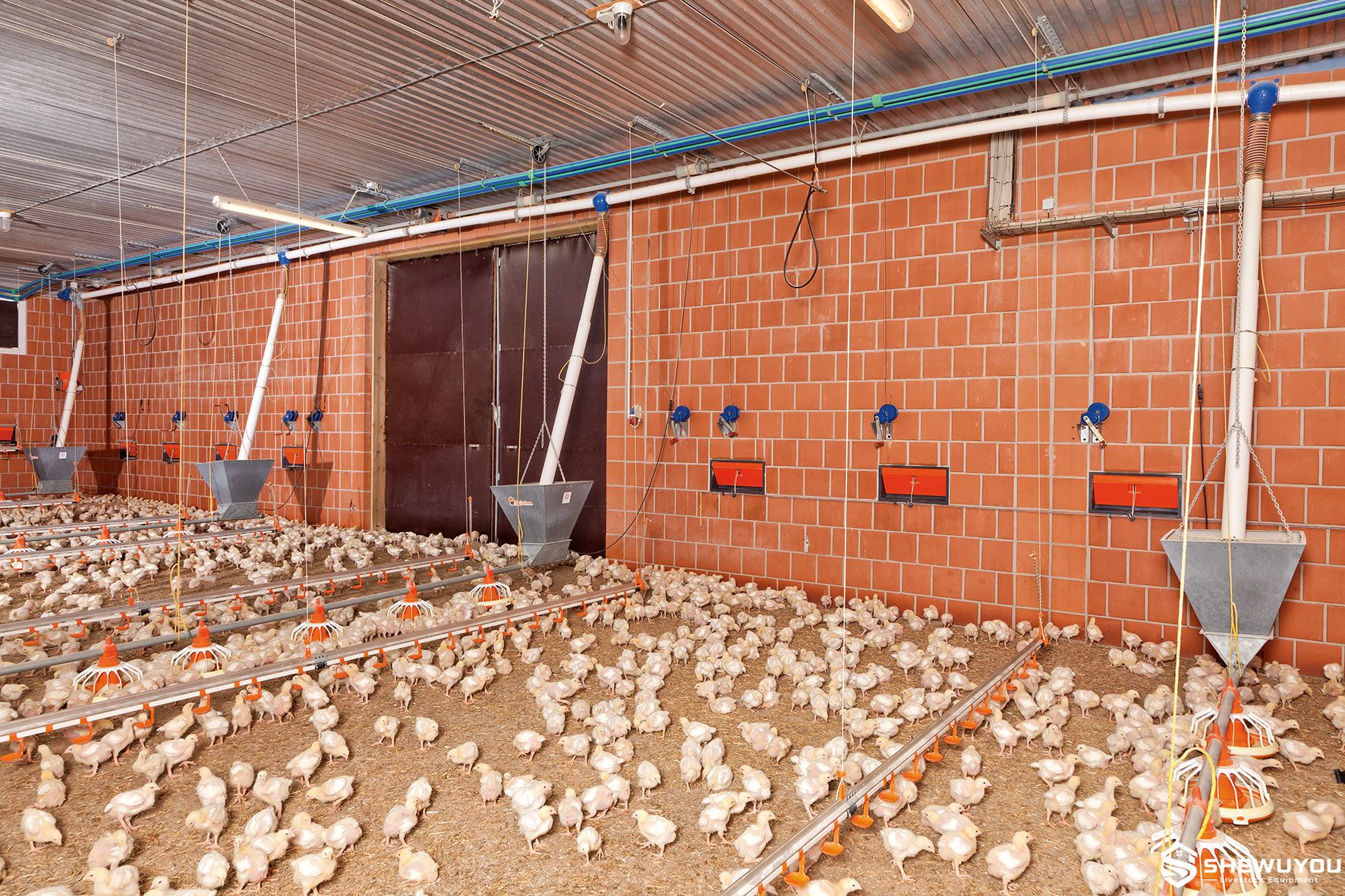 poultry drinking line pressure regulator system