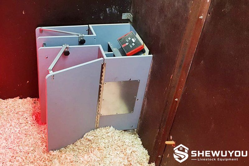 automatic lamb feeding machine installed in livestock barn