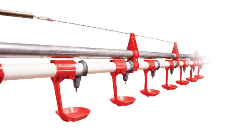 poultry nipple drinking line with drip cups for turkey house installation