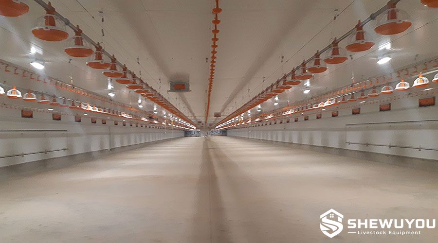poultry house suspended drinking line system