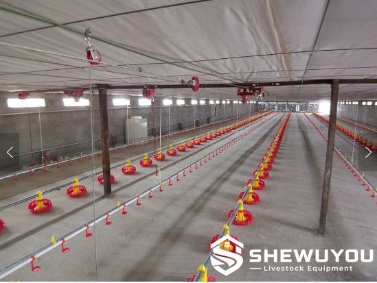 broiler poultry house automatic bell drinking system