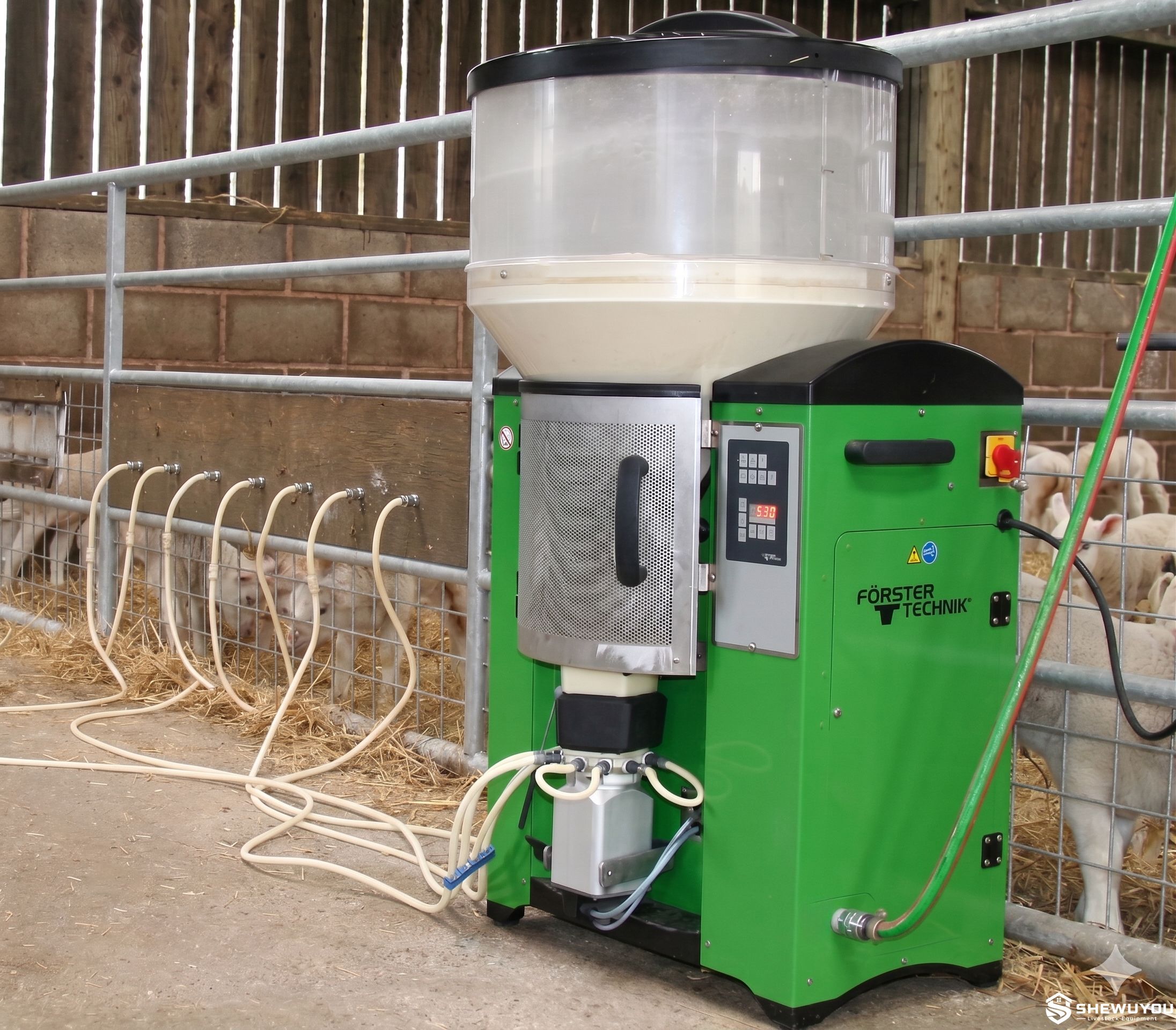 automatic lamb milk feeder installed in nursery barn