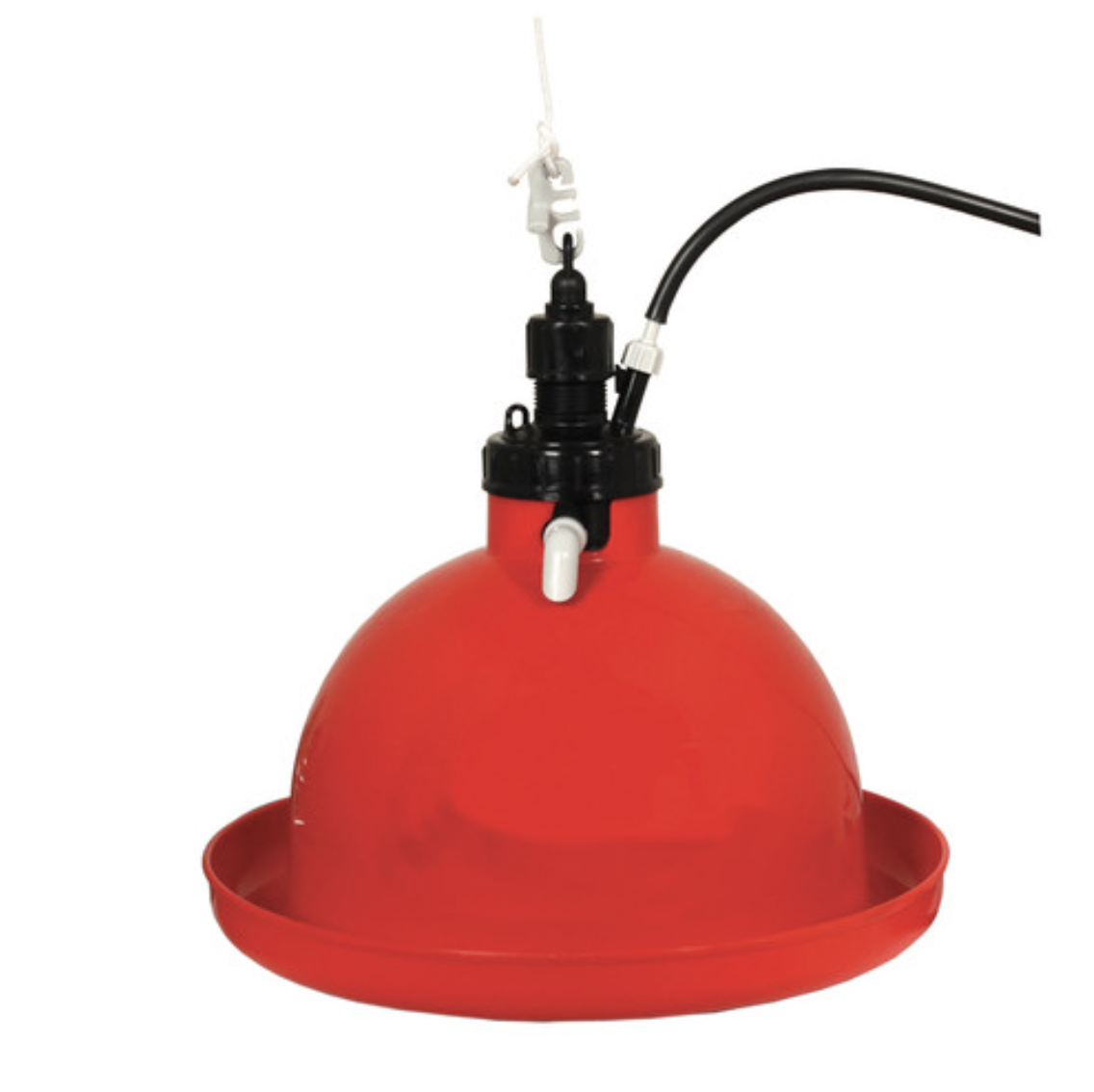 poultry bell drinker with suspension cord