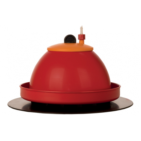 automatic day-old chick drinker poultry watering equipment