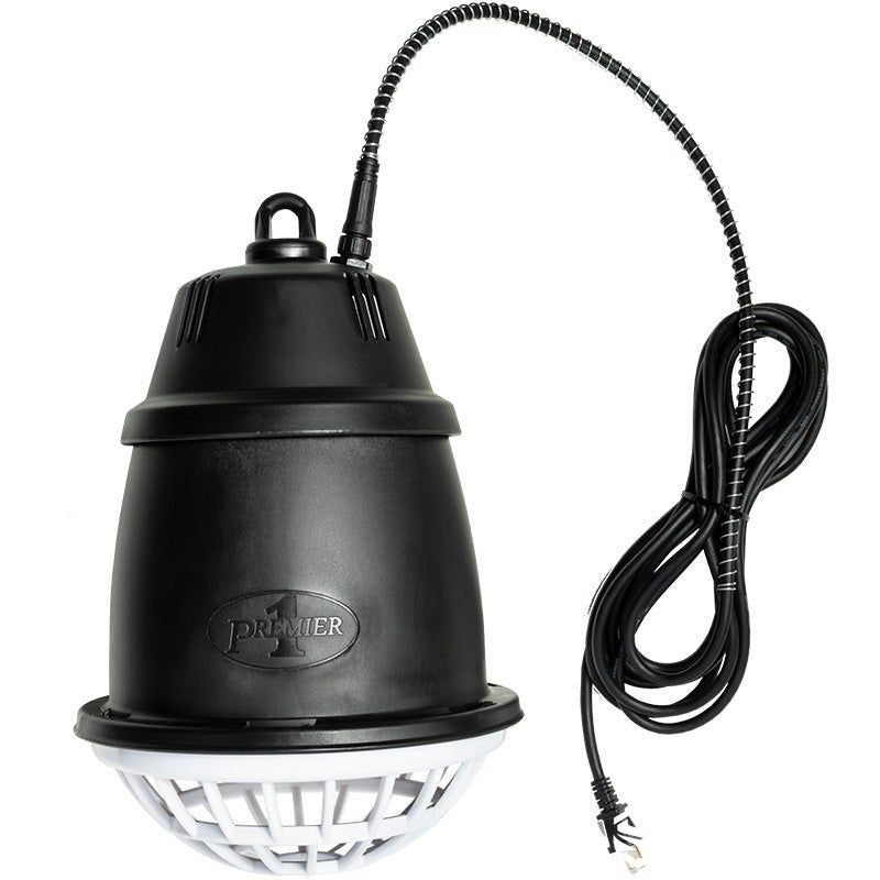safety guard lamb heat lamp
