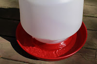 duckling starter waterer drinking tray