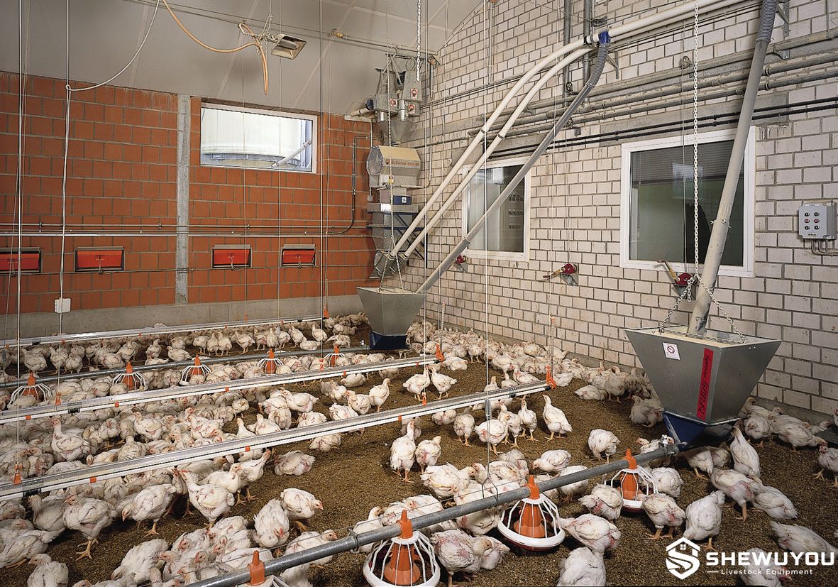 poultry house suspended drinking and feeding lines