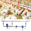 Poultry Drinking Water Filter