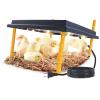 Height Adjustable Electric Brooder Plate