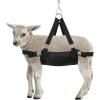 Lamb Weighing & Carrying Sling