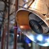 Multi-Zone Electric Brooding System