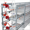 Broiler Cage System