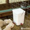 2-Teat Lamb Feeding Bucket