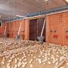 Poultry Nipple Drinking System