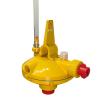 Manual Flushing Pressure Regulator