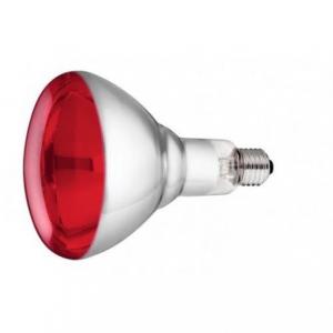 Infrared Lamb Heat Lamp Bulb - SHEWUYOU Livestock Equipment
