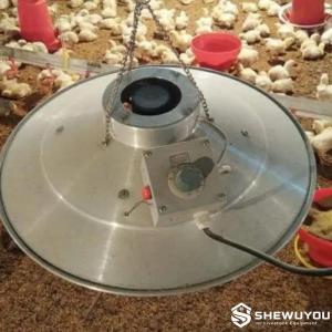 Broiler Electric Brooder System - SHEWUYOU Livestock Equipment