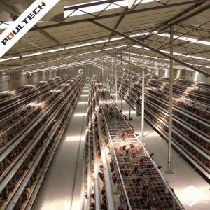 A-Type Layer Cage System - SHEWUYOU Livestock Equipment