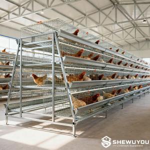 Multi-Tier Layer Cage System - SHEWUYOU Livestock Equipment