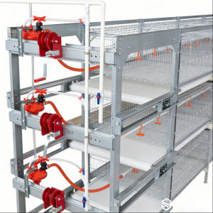 Broiler Cage System - SHEWUYOU Livestock Equipment