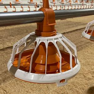 Automatic Broiler Flood Pan Feeding System - SHEWUYOU Livestock Equipment