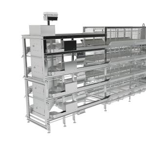 Automatic Layer Chain Feeding System - SHEWUYOU Livestock Equipment