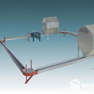 Broiler Breeder Female Chain Feeding System - SHEWUYOU Livestock Equipment