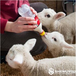 Dual-Opening Lamb Feeding Bottle - SHEWUYOU Livestock Equipment