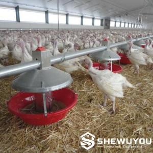 Automatic Turkey Pan Feeding Line - SHEWUYOU Livestock Equipment