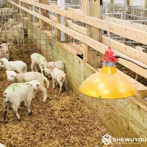 Carbon Fiber Lambing Pen Heater - SHEWUYOU Livestock Equipment