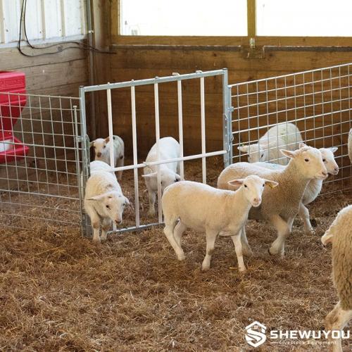 Lamb Creep Access Panel - SHEWUYOU Livestock Equipment