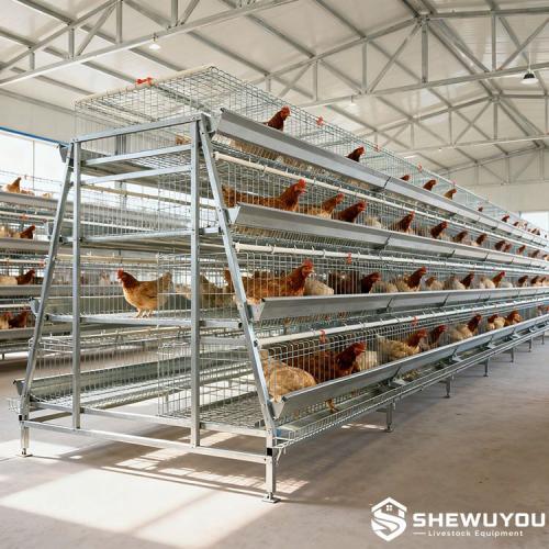 Multi-Tier Layer Cage System - SHEWUYOU Livestock Equipment