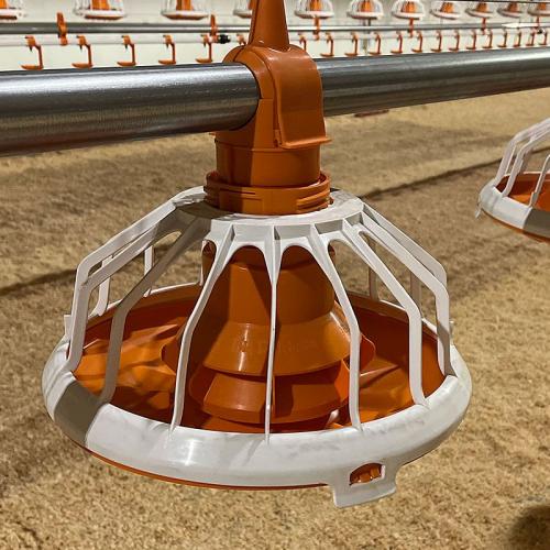 Automatic Broiler Flood Pan Feeding System - SHEWUYOU Livestock Equipment