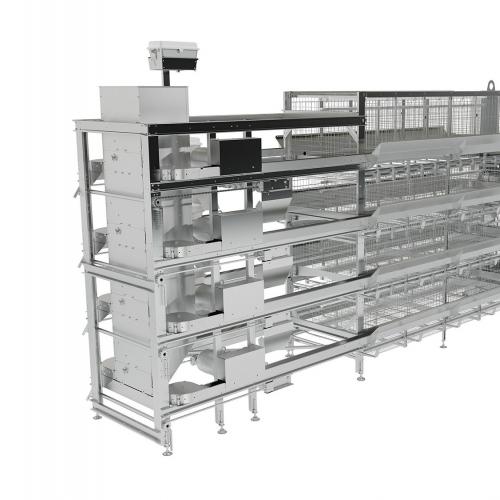 Automatic Layer Chain Feeding System - SHEWUYOU Livestock Equipment