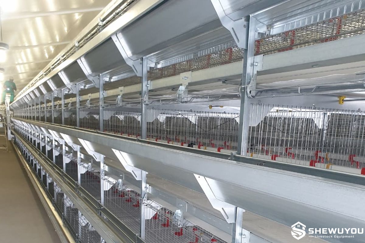 automatic poultry breeder cage housing system