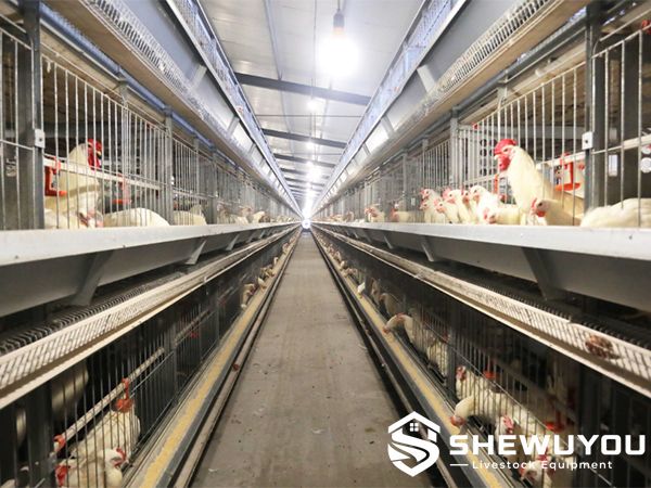 male and female natural mating breeder cage system