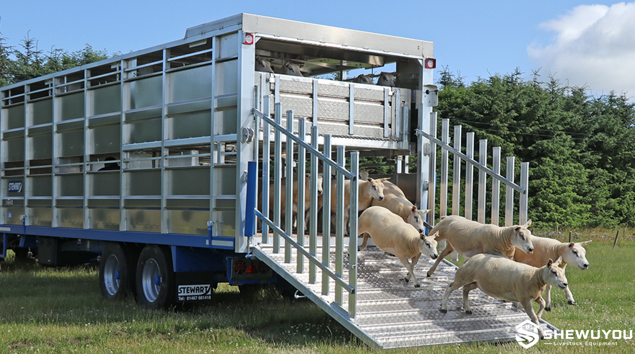 sheep unloading ramp for livestock transport vehicle