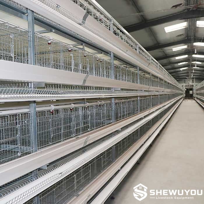 commercial poultry house layer cage installation