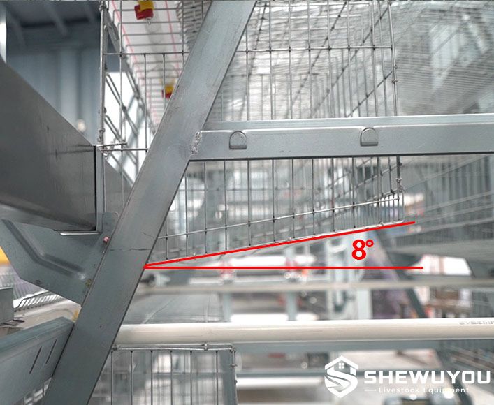 A-Type layer cage sloped egg rolling floor