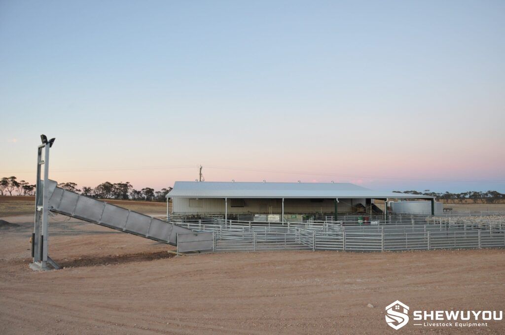 heavy duty commercial sheep loading ramp