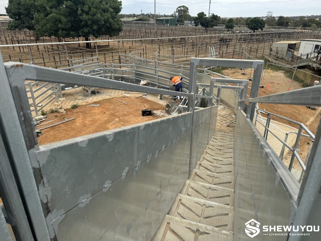 commercial sheep loading ramp installation